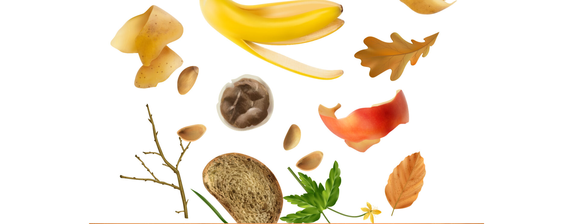 Dessin de bio déchets allant au compost