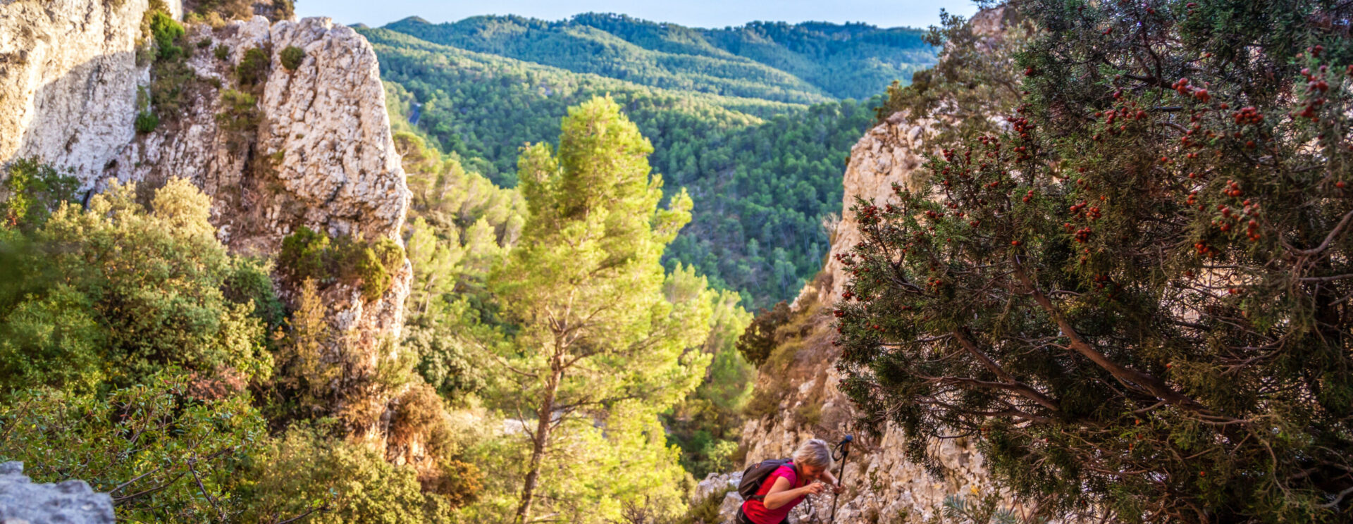 Des randonneurs en promenade dans les Alpilles