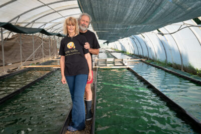 Lire la vidéo 18 sur 25, fenêtre modale