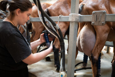 Lire la vidéo 13 sur 25, fenêtre modale