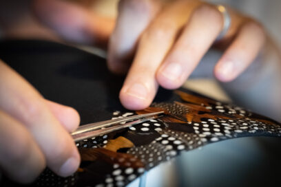 Agrandir l'image, fenêtre modale