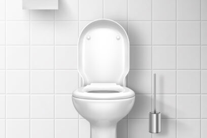 Dessin représentant un WC et un rouleau de papier WC - Agrandir l'image, fenêtre modale